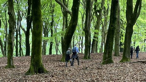 Wandelend daten: samen wandelen kan zoveel meer。